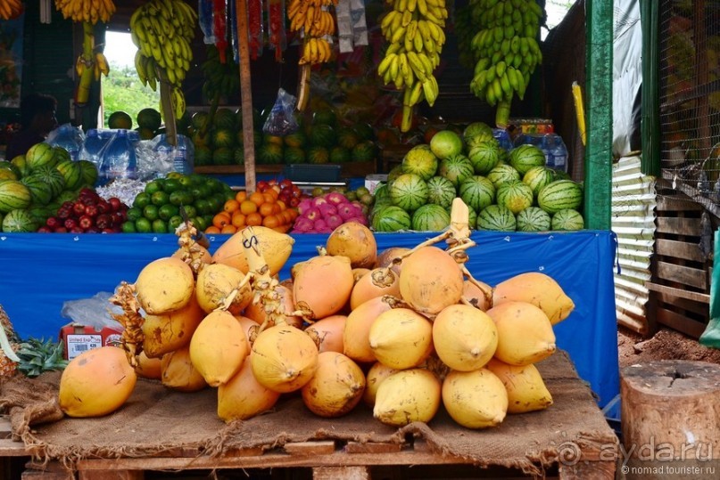 Цейлон на троих. Часть 1