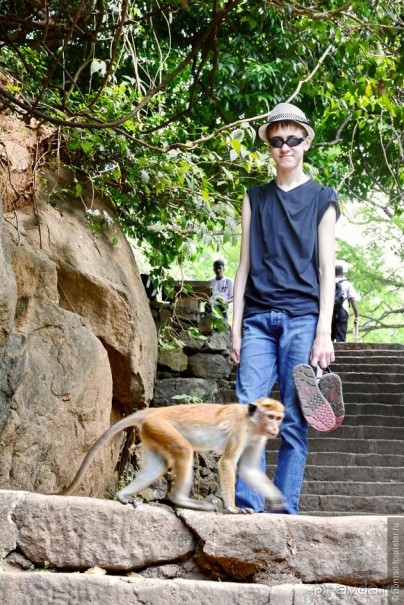 Цейлон на троих. Часть 1