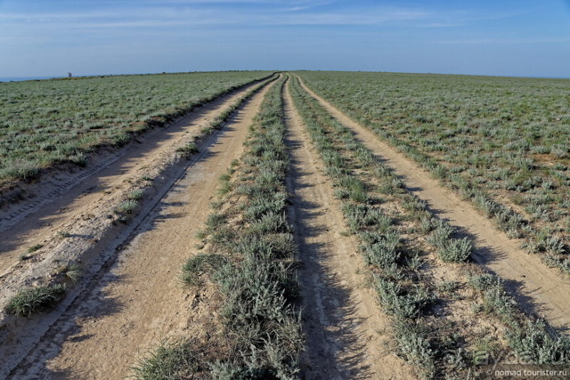 Экстаз № 2. Каспий-Мечети-Жигылган