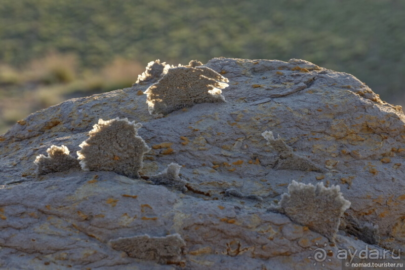 Экстаз № 2. Каспий-Мечети-Жигылган