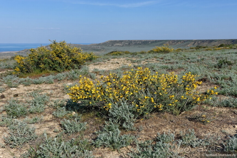 Экстаз № 2. Каспий-Мечети-Жигылган