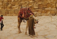 Однажды в Гизе