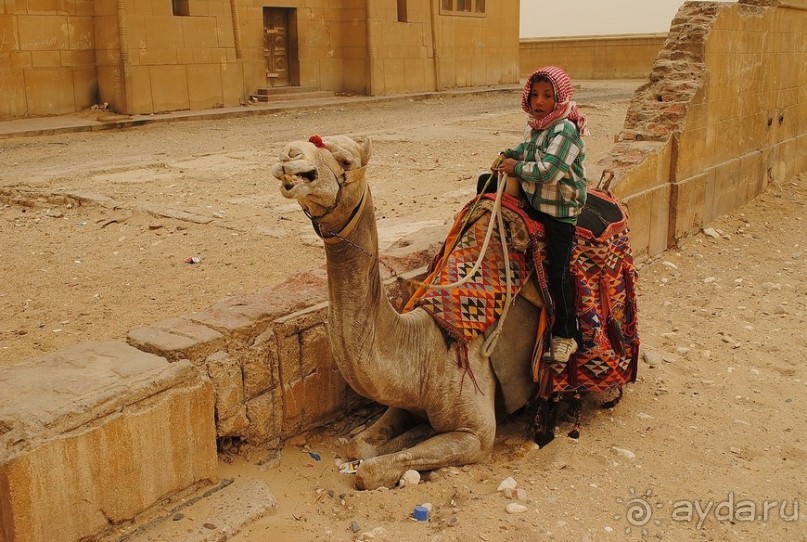 Однажды в Гизе