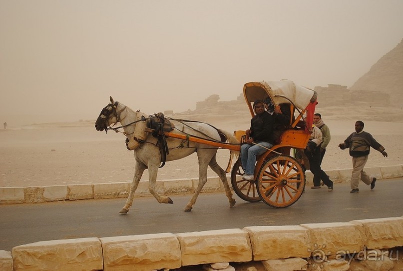 Однажды в Гизе