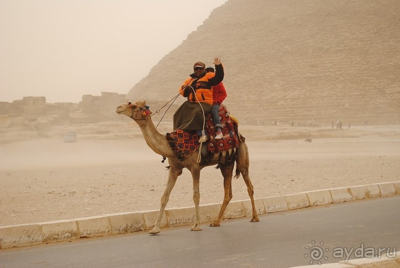 Однажды в Гизе