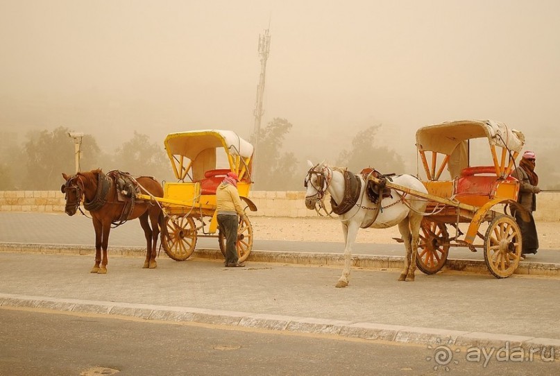 Однажды в Гизе