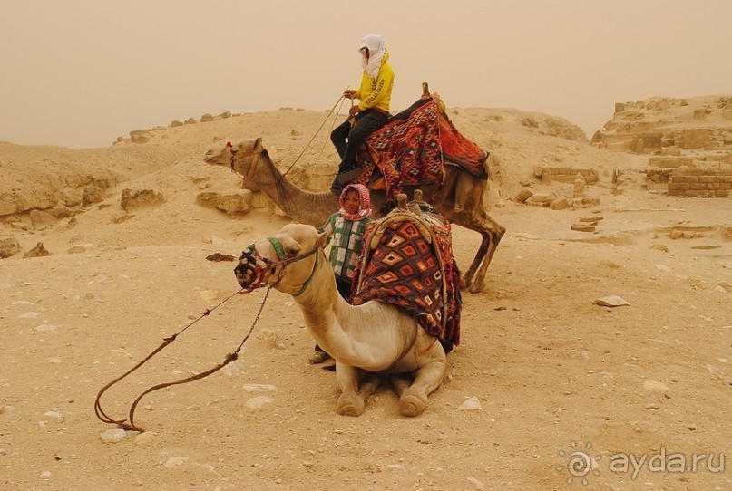 Однажды в Гизе