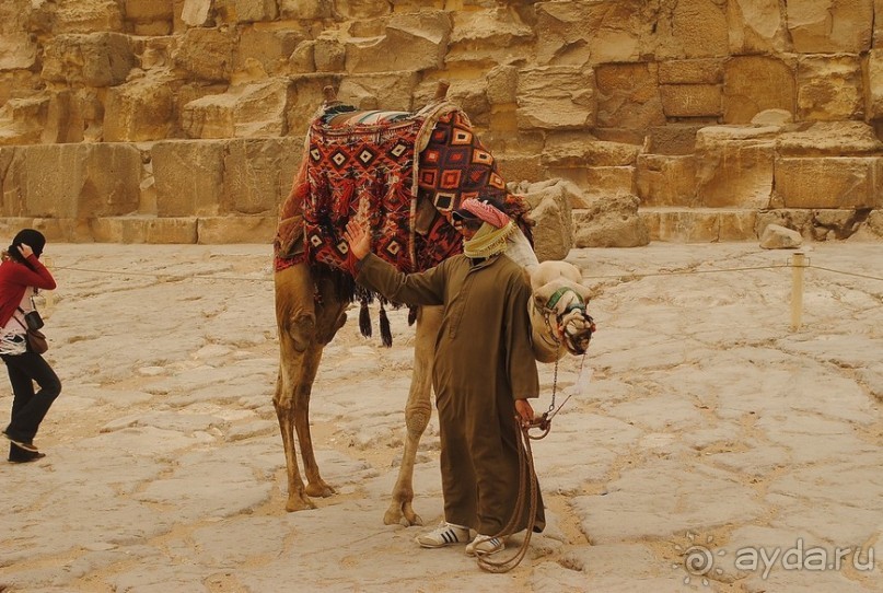 Однажды в Гизе