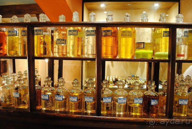 Однажды в Гизе