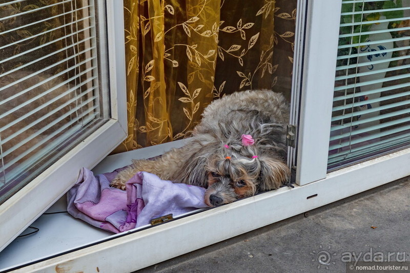 Дождливый Вильнюс