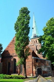 Рига туристическая