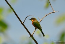 Акуна матата — дубль два. Кения в сезон дождей. Часть 4