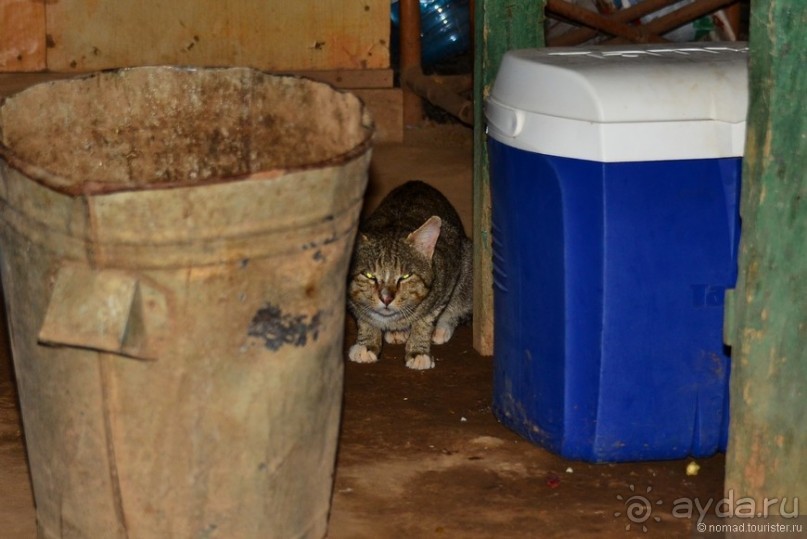 Акуна матата — дубль два. Кения в сезон дождей. Часть 4