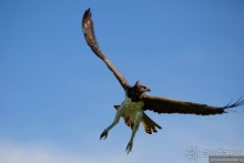 Акуна матата — дубль два. Кения в сезон дождей. Часть 4