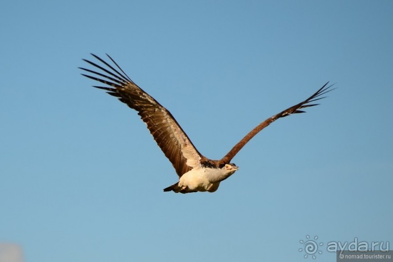 Акуна матата — дубль два. Кения в сезон дождей. Часть 4
