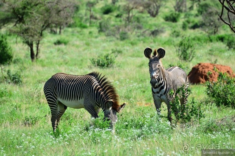 Акуна матата — дубль два. Кения в сезон дождей. Часть 4