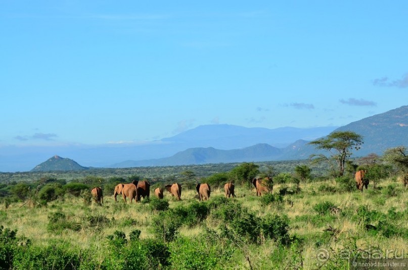 Акуна матата — дубль два. Кения в сезон дождей. Часть 4
