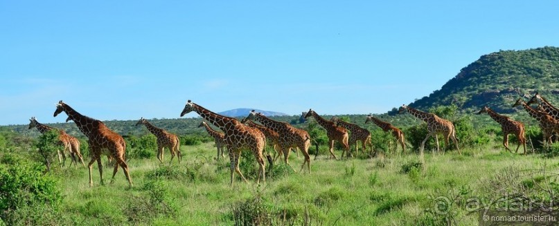 Акуна матата — дубль два. Кения в сезон дождей. Часть 4