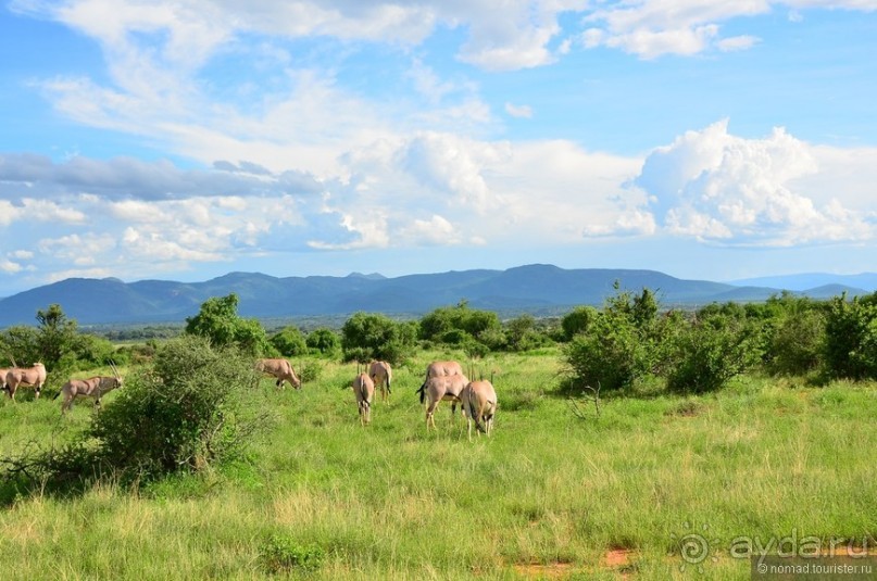 Акуна матата — дубль два. Кения в сезон дождей. Часть 4