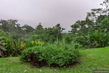 Pura vida по-костарикански. Часть 1