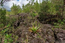 Pura vida по-костарикански. Часть 1