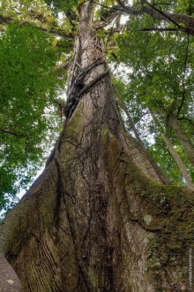 Pura vida по-костарикански. Часть 1