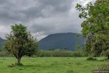 Pura vida по-костарикански. Часть 1