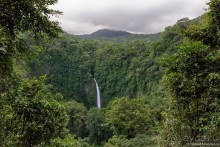 Pura vida по-костарикански. Часть 1