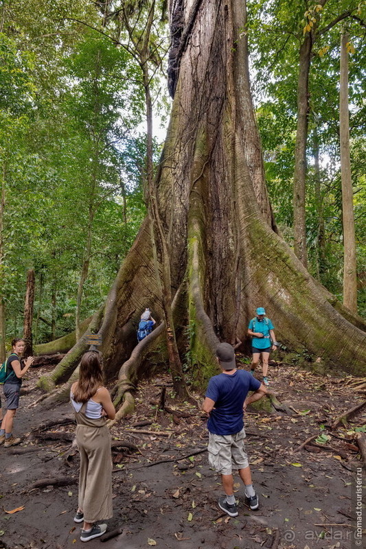 Pura vida по-костарикански. Часть 1