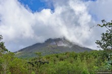 Pura vida по-костарикански. Часть 1