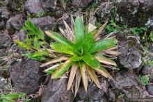 Pura vida по-костарикански. Часть 1