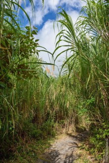 Pura vida по-костарикански. Часть 1