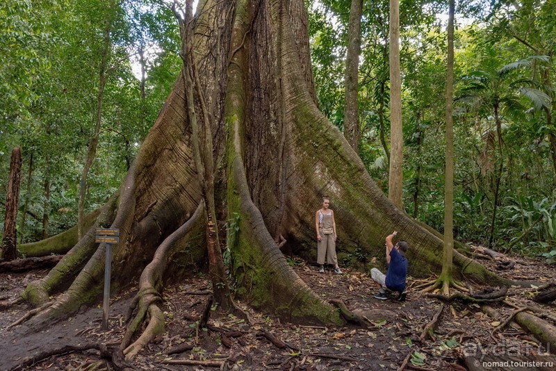 Pura vida по-костарикански. Часть 1