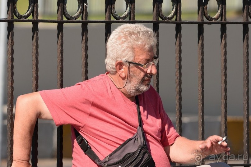 Прогулки по Стамбулу. Люди и птицы