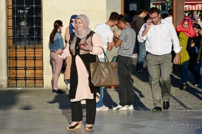 Прогулки по Стамбулу. Люди и птицы