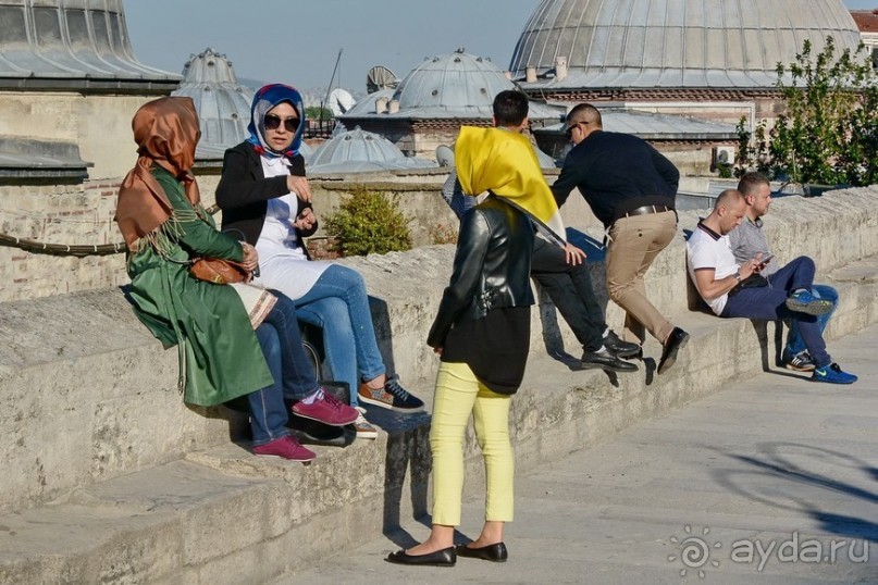 Прогулки по Стамбулу. Люди и птицы