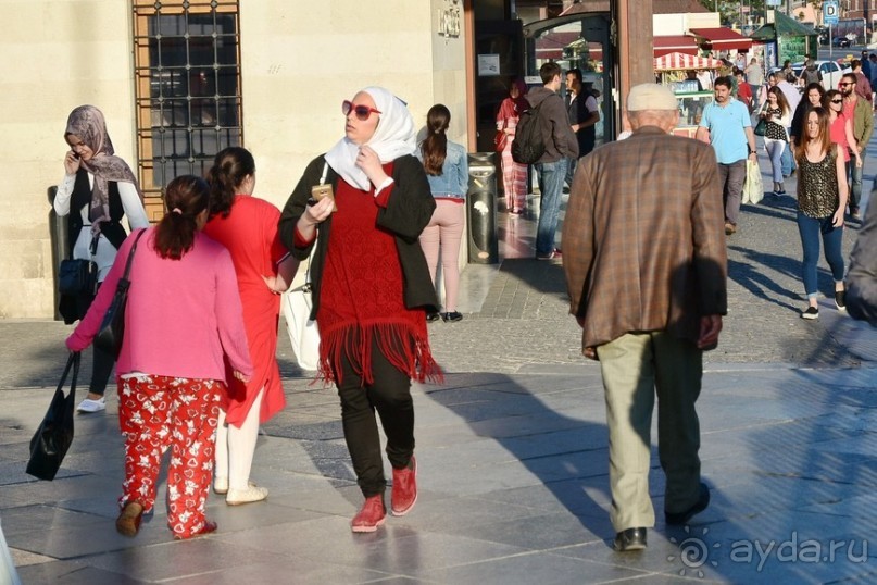 Прогулки по Стамбулу. Люди и птицы