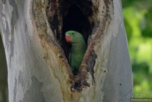 Прогулки по Стамбулу. Люди и птицы