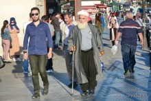 Прогулки по Стамбулу. Люди и птицы