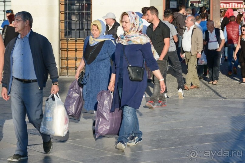 Прогулки по Стамбулу. Люди и птицы