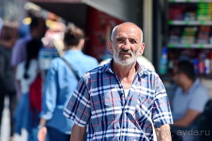 Прогулки по Стамбулу. Люди и птицы