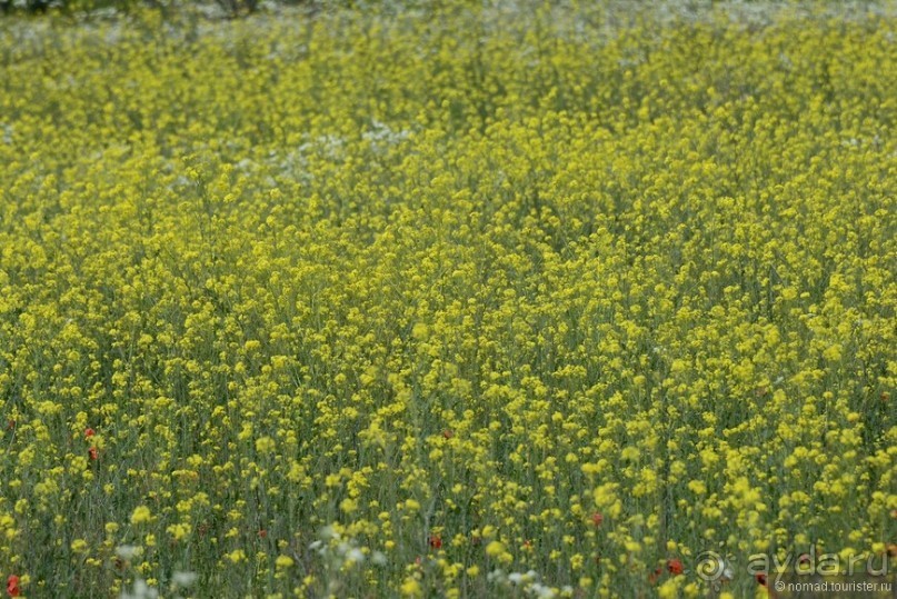 Страна хачкаров и алых маков. Часть 2