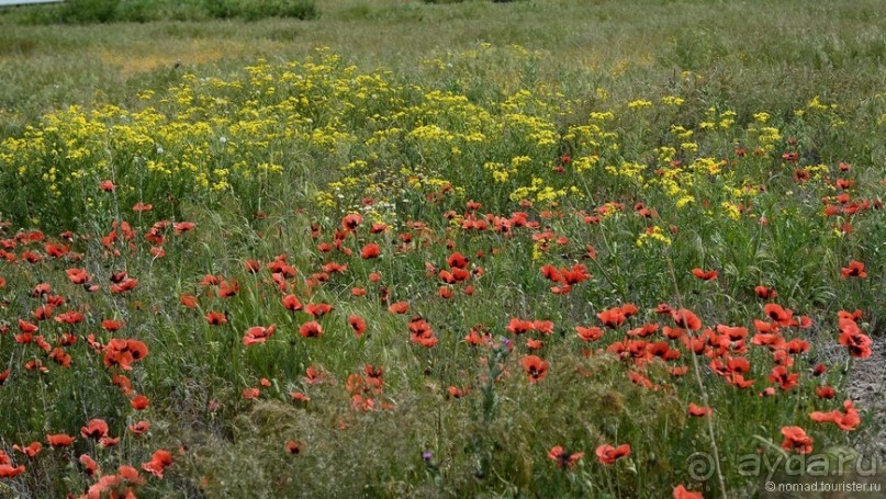 Страна хачкаров и алых маков. Часть 2