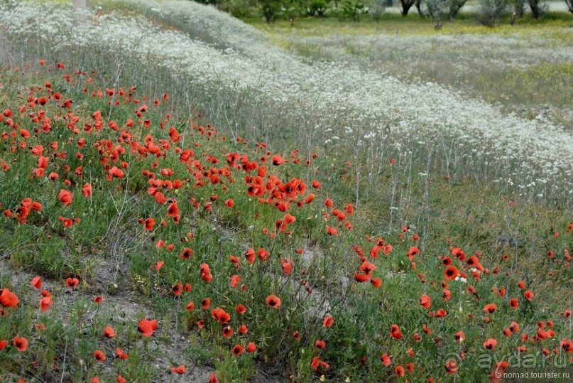 Страна хачкаров и алых маков. Часть 2