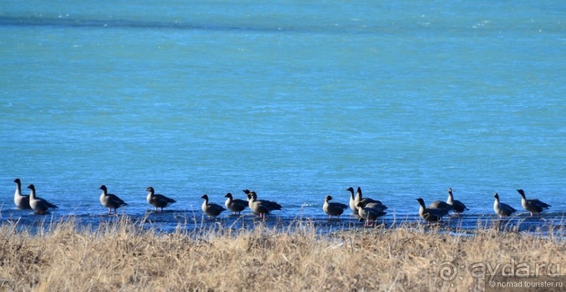 2226 километров по стране чудес. Исландия. Часть 3