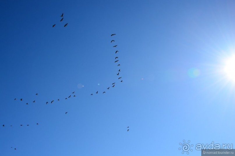 2226 километров по стране чудес. Исландия. Часть 3