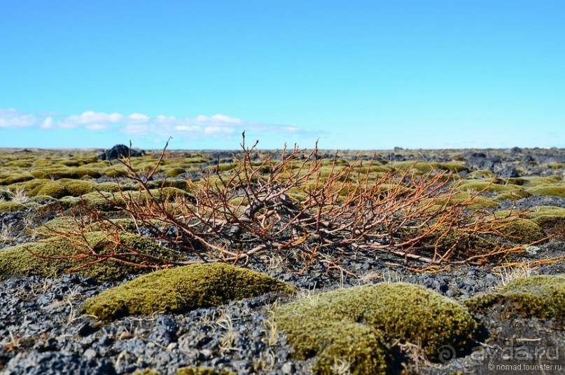 2226 километров по стране чудес. Исландия. Часть 3
