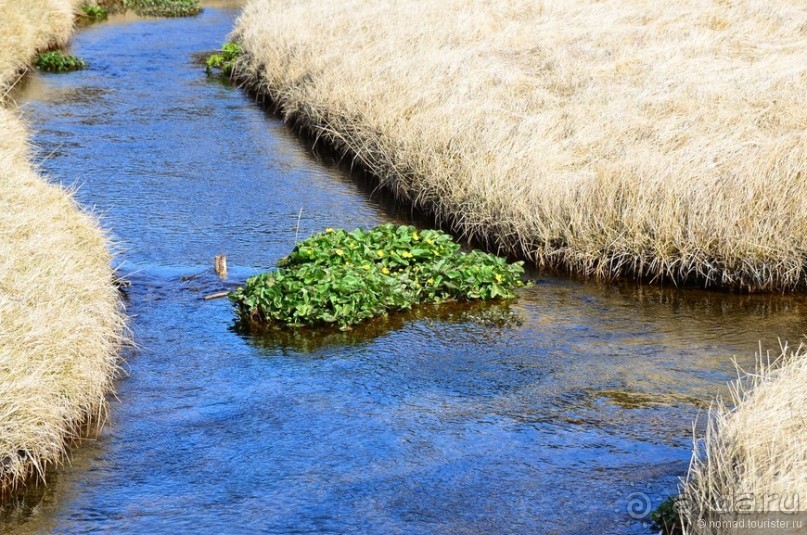 2226 километров по стране чудес. Исландия. Часть 3