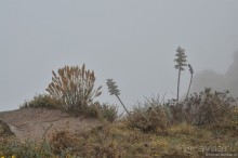 Американские горки (декабрь 2012-январь 2013). Часть 4