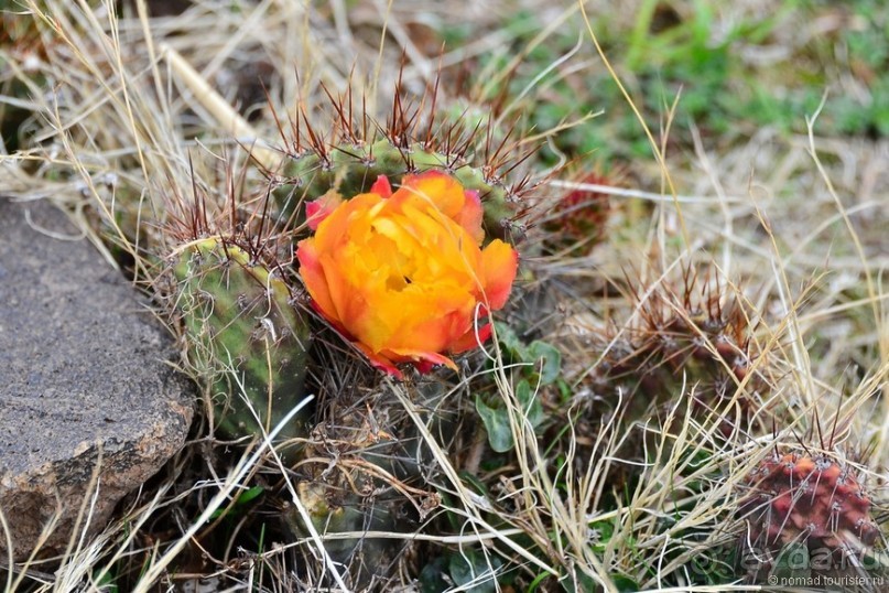 Американские горки (декабрь 2012-январь 2013). Часть 4